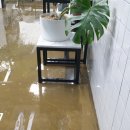 오수치과의원 이미지