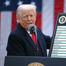 美, FTA 맺은 韓에 25% 상호관세 ‘폭탄’ 글로벌 통상전쟁 격화(종합) 이미지