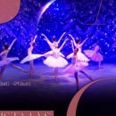 부천필하모닉오케스트라 2025 제야음악회 이미지