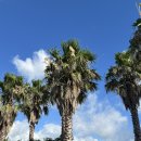 느긋하귀 이미지