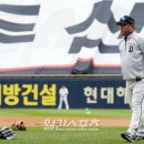 미정 이미지