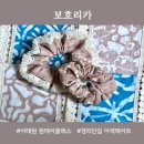 보호리카 이미지