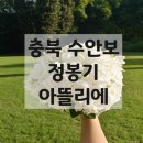 정봉기 아뜰리에 이미지