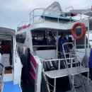 꽃의섬 | 푸켓 피피섬 투어 카타마란 후기 및 가격 준비물