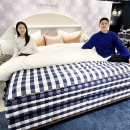 비비더스