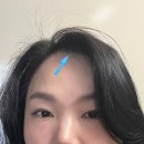 테무깡 미용소품 모찌퍼프 핸드폰케이스 헤어뽕 구입 후기