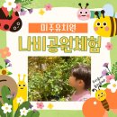 미주 유치원 이미지