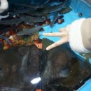 구구1번지 이미지