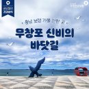 충남 보령 가볼 만한 곳 - 무창포 신비의 바닷길 이미지