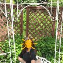 사상근린공원 이미지