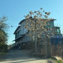 춘천호반 | 춘천글램핑 호반캠핑장&amp;글램핑 카라반 춘천점 스페셜스카이라운지 후기