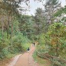 대봉목장 이미지