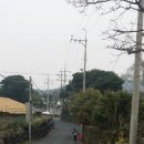 성읍초등학교 이미지