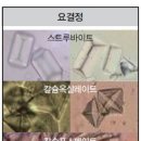 호박동물병원 이미지