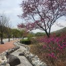 영진전문대학교글로벌캠퍼스 | 영진전문대학교 글로벌캠퍼스 18홀 파크골프장