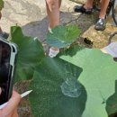 마령초등학교 이미지