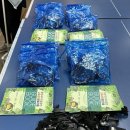 태양을향하여 | 화성 국가지질공원 교육관광 프로그램 보조강사 후기 (2025.10) 백미리갯벌 체험장