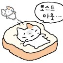 불닭발땡초동대문엽기떡볶이용인 - 용인시 기흥구 구성로39번길 3 | 불닭발땡초동대문엽기떡볶이용인