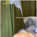 등교하개 이미지