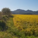 인삼공인중개사사무소 이미지