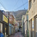 욕지초등학교 | 통영 욕지도여행 점심메뉴 뭐먹지? 초밥먹자 생참치초밥 런치세트