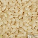 교감막국수
