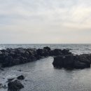 서호동-44 이미지