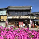 이교카페 | 긴타이교가 한눈에 보이는 최고의 전망 카페! Marifu Coffee Roaster Kintai Bridge Shop 방문 후기 🇯🇵✨