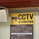 광한루원 문화의달 | 축제 입장료 월광포차 후기