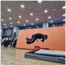 용인대 수 합기도 이미지