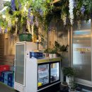 구로-구로-구로-1911 이미지