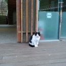 (주)바이오지노마커스 | [먹방] 배고픈 것보다 배부른 게 훨씬 낫다!
