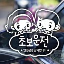 이의초교 이미지