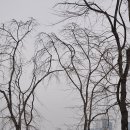 호수공원 10로 이미지