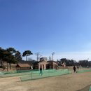 파크골프장(9홀) | ⛳무료 무예약 9홀 신광면 함평파크골프장 라운딩 후기!