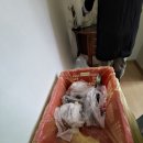 천도로지스 | 인천 송도 이삿짐센터 매력적이며 보관도 동시에 진행할 수 있는 곳!
