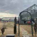 홍남농장 | 용인 딸기체험농장 포레스트벨 예약없이 주말 일요일 방문 후기