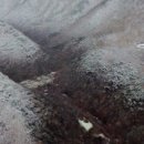 모텔겨울왕국 이미지