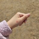 에그리데이(EGGRYDAY) 이미지