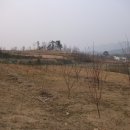 옥천농장 이미지