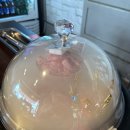 삼겹살먹으러가자 | 청주 간장삼겹살 맛집 로얄생고기, 40년 씨간장 로얄한상 후기