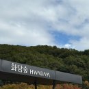 단풍머리 | 25년도 가을단풍명소 10월 중순 화담숲 단풍모노레일 후기