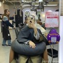 장안48 | # 기장추가없는 장안동미용실 | 두 번째 방문한 로이드밤 장안점 매직펌 후기