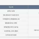 배미수영장 이미지