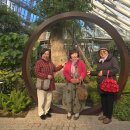 포항시북구61 이미지