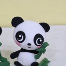 반려식물 원예화분 공예 이미지