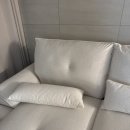 구스퍼니 이미지