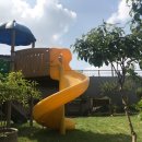 꿈그린유치원 이미지