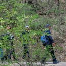 청계산 등산로 이미지