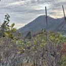 2025.12.12 출석부 이미지